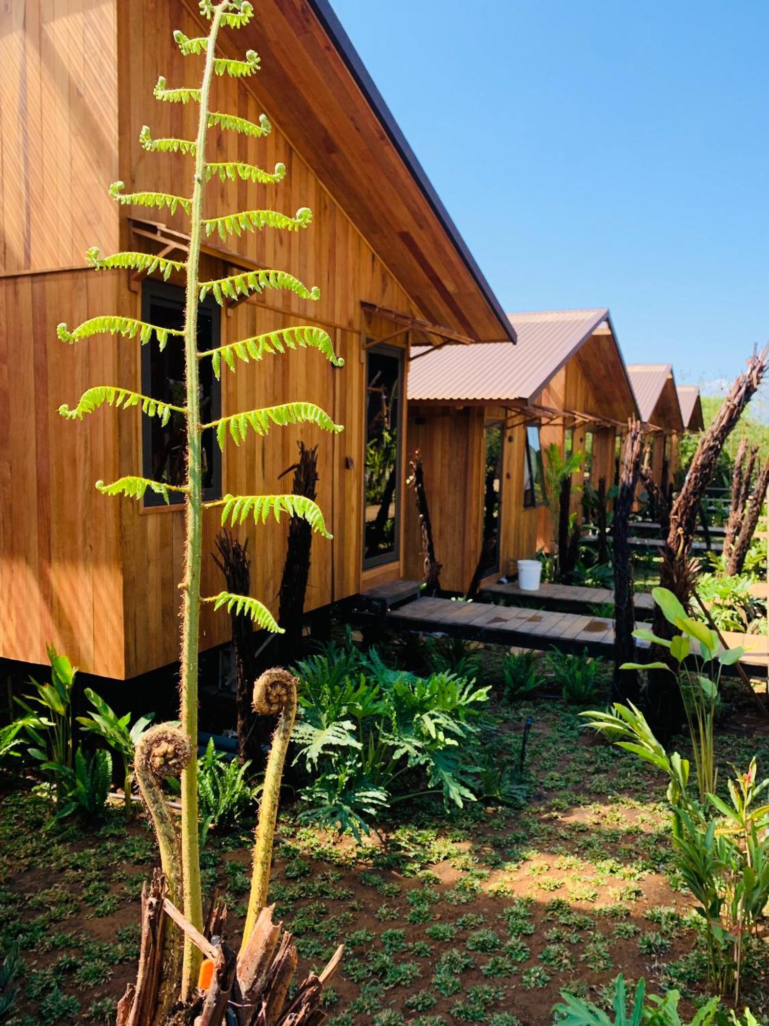 Hotel Cai Gui Ta Dung Bidong Exterior foto